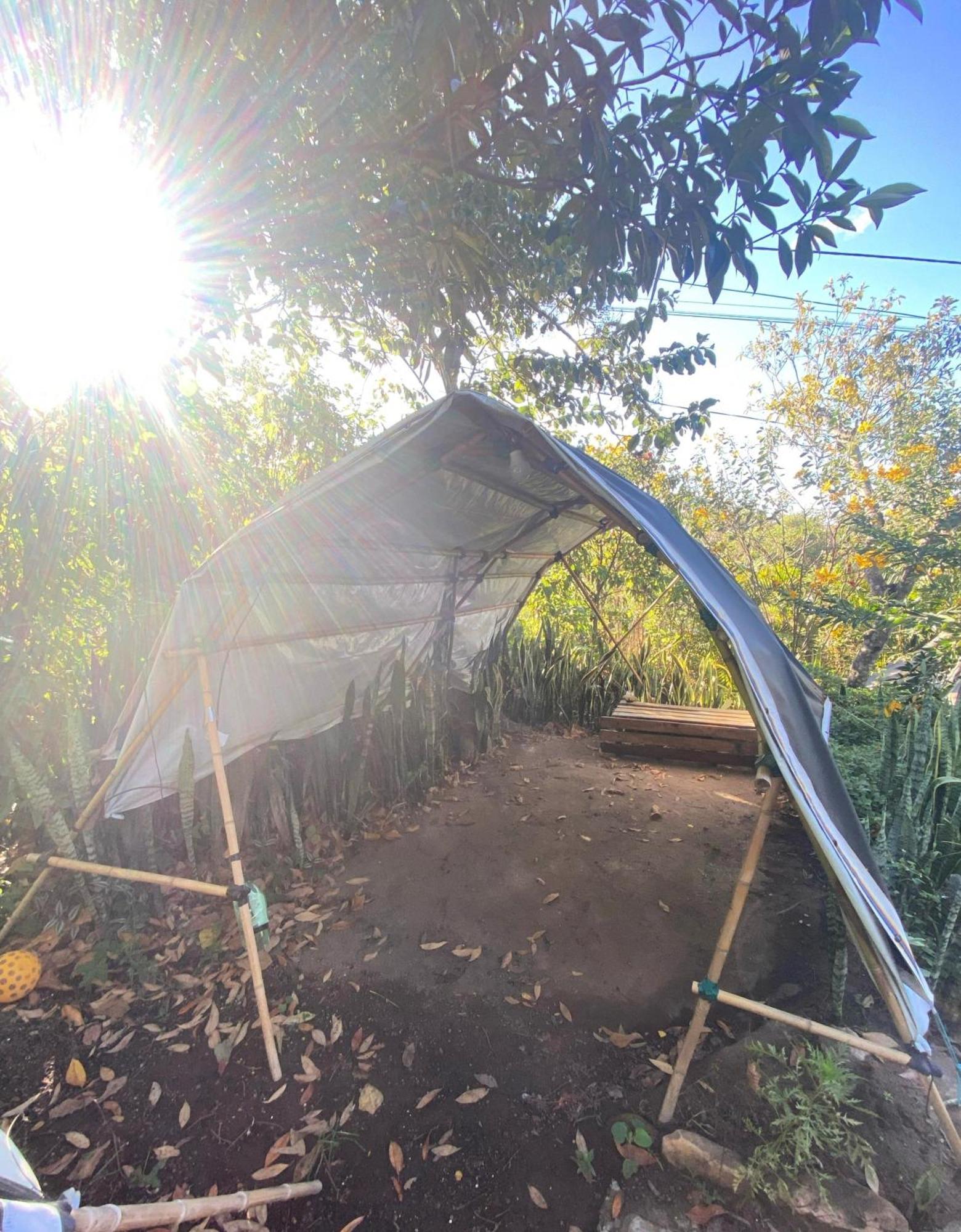Camping Filhos Da Floresta - 발레 두 카파오 외부 사진